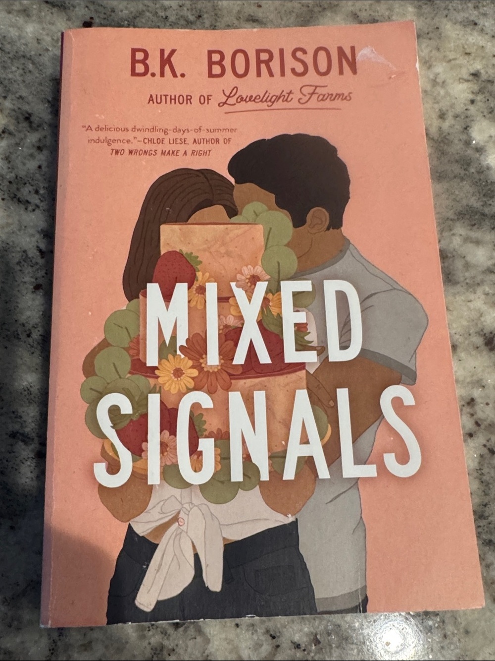 Mixed Signals by B.K. Borison Peach Cover - OS